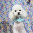 랄라펫살롱 이미지