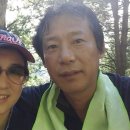 개미들솔향기야영장 이미지