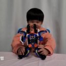 폴리독