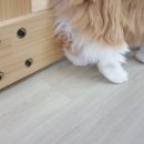 메이그루밍 이미지