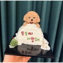 정성스럽개 이미지