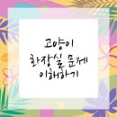 행복한동물병원 | 고양이 소변 문제 해결하기 양천구동물병원