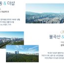 분당-363 네이버블로그