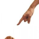 안녕, 내강아지 이미지