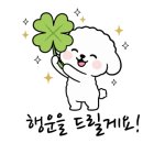 수영 센텀부동산 공인중개사사무소 네이버블로그