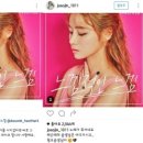 금조 헤럴드경제