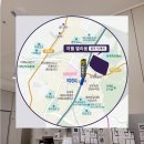 나무정원치과의원 이미지