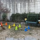 도그하우스 애견미용실 이미지