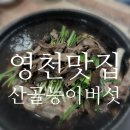 별빛 산골 능이버섯 이미지