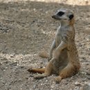 대림역 와이즈플레이스 이미지