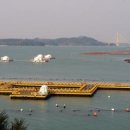 거금해양낚시공원 이미지