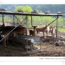 석촌농장 이미지