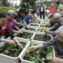 시대아파트경로당 이미지