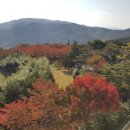 (주)가야호텔 이미지