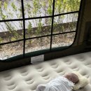 백일야영장 네이버블로그