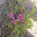 사기점골 이미지