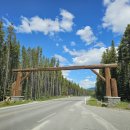 바우밸리 이미지