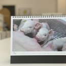 이룸부동산중개 이미지