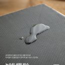 이층집고양이 이미지