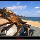 울진평해우체국 이미지