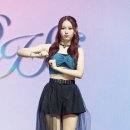 브룸 스타데일리뉴스 