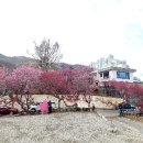 순천의료원공원 이미지