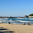 송지호 해수욕장 이미지