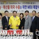 (주)도모홀딩스