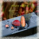 화가 르누아르의 작품 전시회 이미지