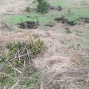 신풍농장 이미지