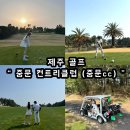 중문골프장CC | [ 제주 중문CC 골프장 후기]이른 봄, 라운딩 감성 가득한 하루