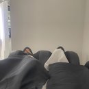 나연강남점 | [선릉 궁서채] 단발 빈티지펌 미용실 추천! 나연 디자이너 포포펌 후기