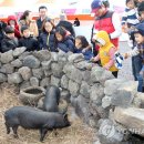 똥돼지 - 강북구 노해로 55 | 똥돼지