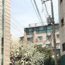 안생약국 이미지