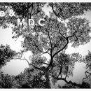 플라워 홈 드레싱 이미지