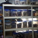 광릉한의원 이미지