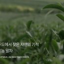 미츠