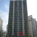 수정-111 이미지