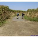 뚝길따라 이미지