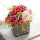 영구 코퍼레이션 이미지