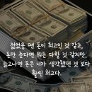 재밌는 명언 이미지