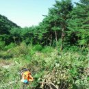 수동농장 이미지