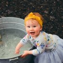 바둑이농장 이미지