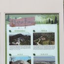 산성 | 대전 보문산 가볍게 등산하기｜1시간 코스, 보문산성 후기