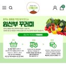 2025년 임산부 친환경 농산물 꾸러미ㅣ내년 신청기간은 언제일까