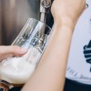 비어캠프 이미지