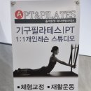 올바른핏 이미지