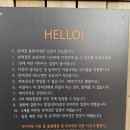 아잉독 애견카페 | 양주 애견운동장 네이처독 애견카페 주말나들이 방문후기 위치 시설