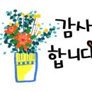 여좌남로 이미지