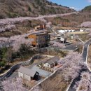 월아산자연휴양림(진주) 이미지